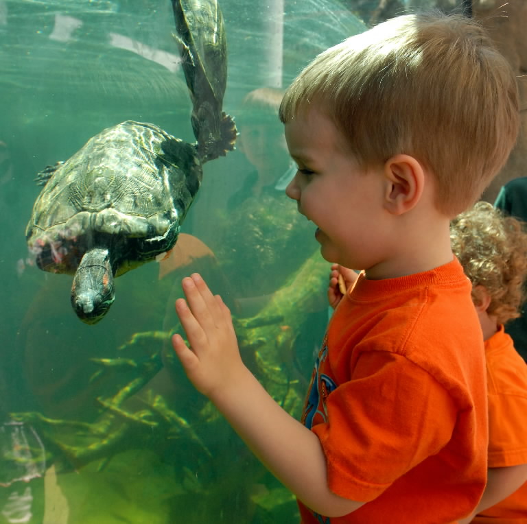 30 People Who Found New Friends At The Zoo