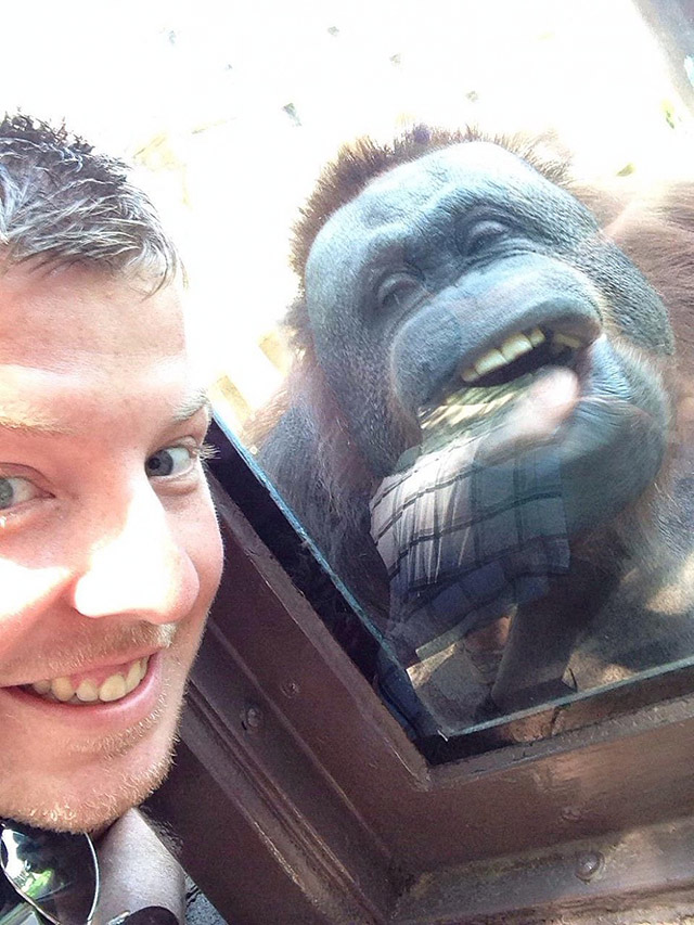 30 People Who Found New Friends At The Zoo