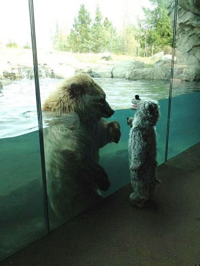 30 People Who Found New Friends At The Zoo