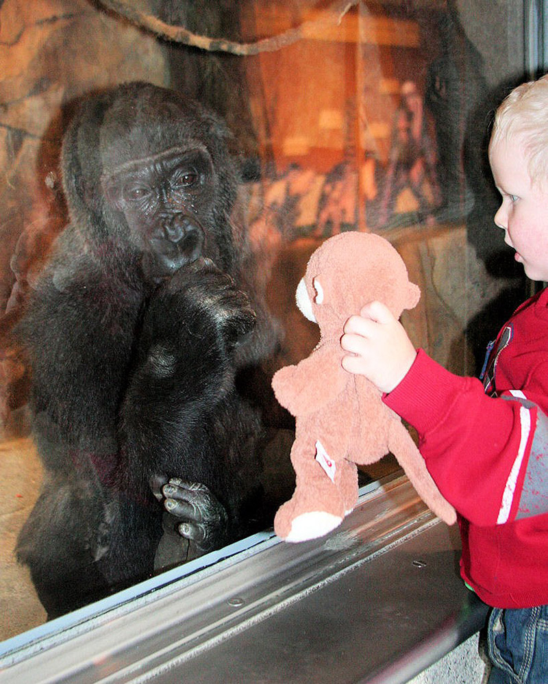 30 People Who Found New Friends At The Zoo