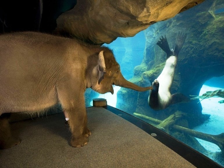 30 People Who Found New Friends At The Zoo