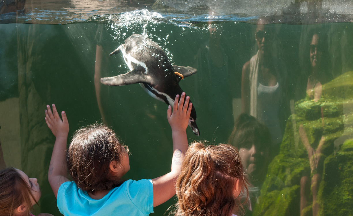 30 People Who Found New Friends At The Zoo