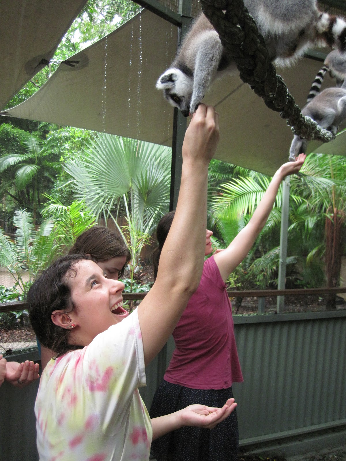 30 People Who Found New Friends At The Zoo