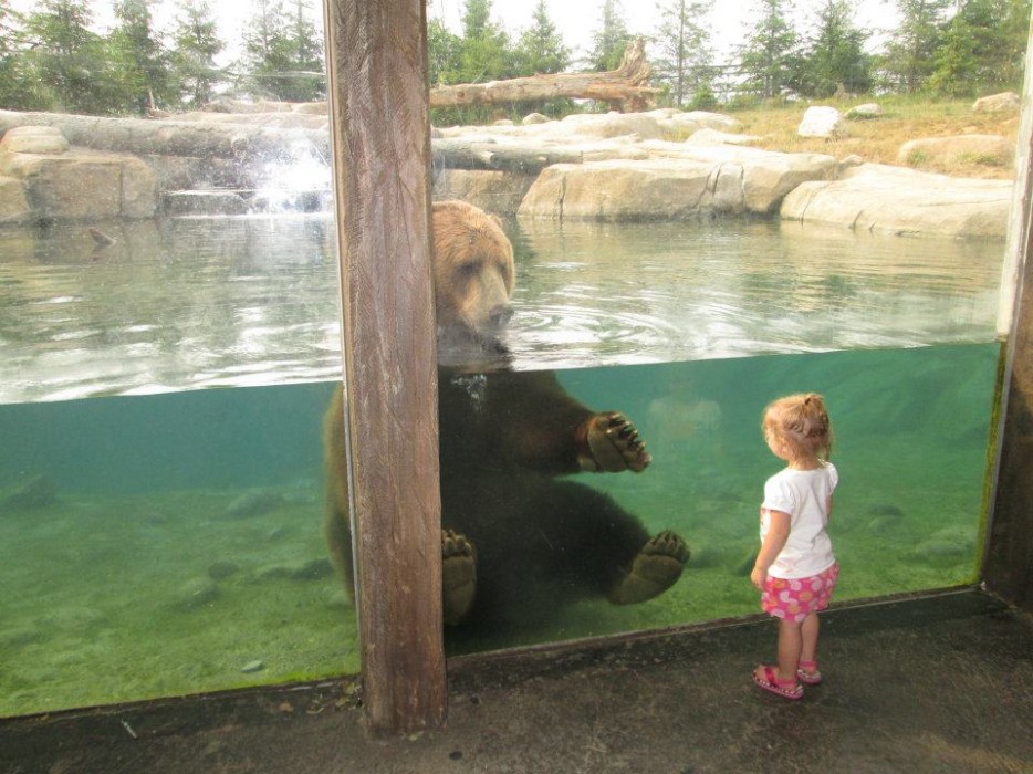 30 People Who Found New Friends At The Zoo