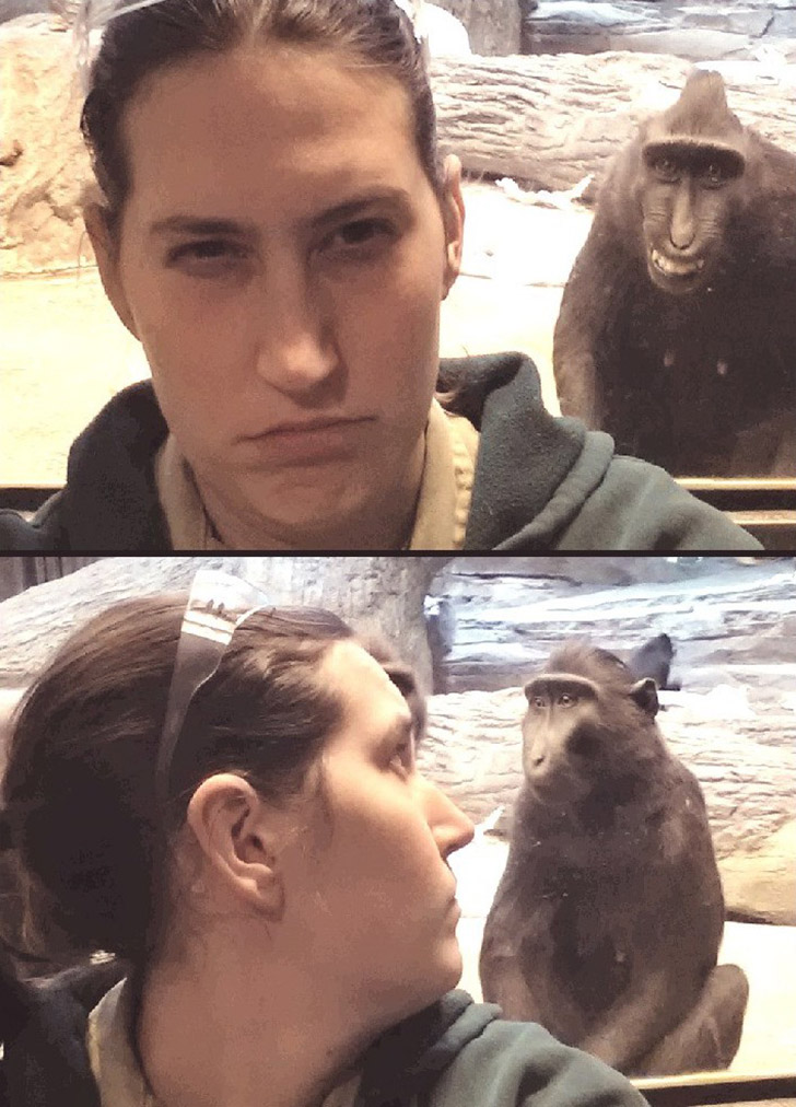 30 People Who Found New Friends At The Zoo