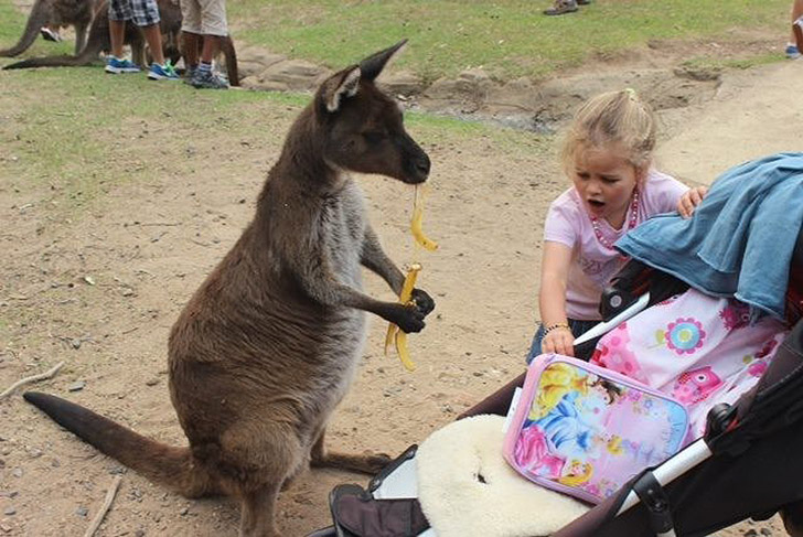 30 People Who Found New Friends At The Zoo