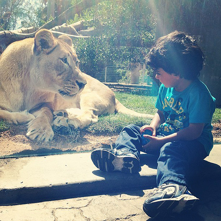 30 People Who Found New Friends At The Zoo