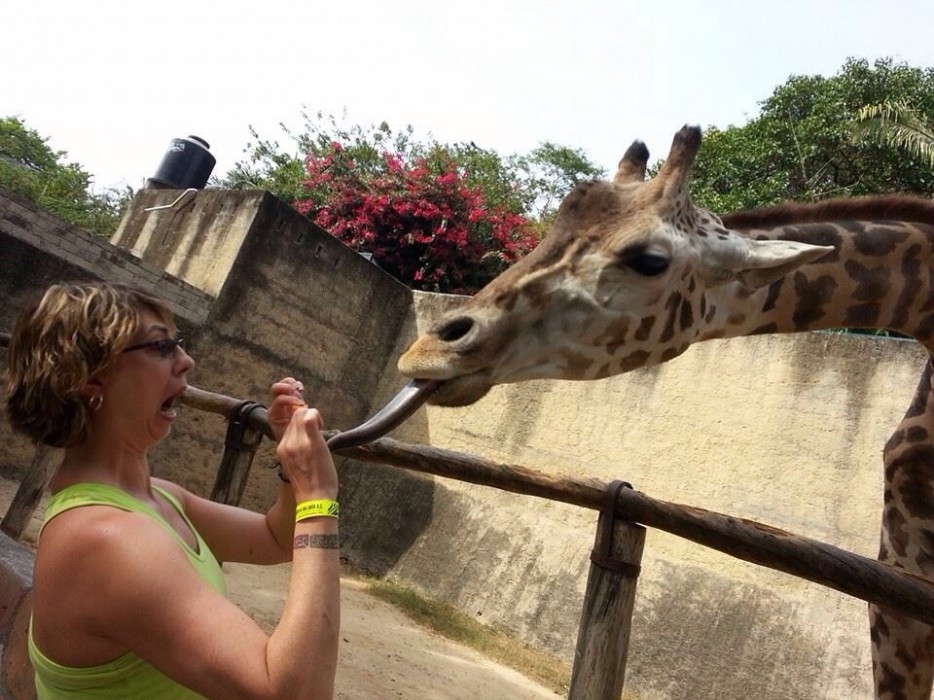 30 People Who Found New Friends At The Zoo