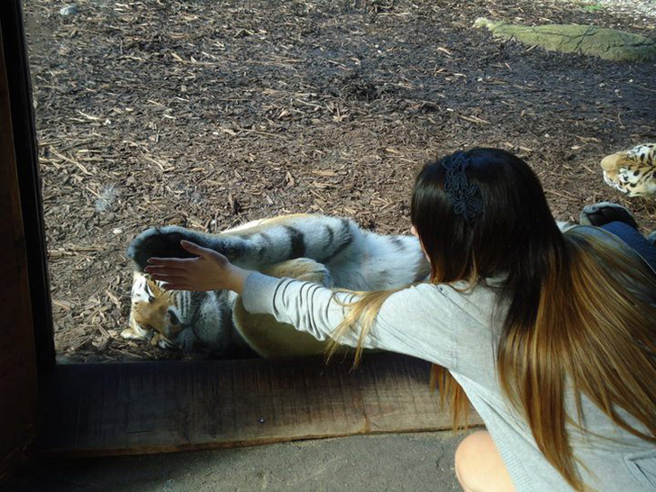 30 People Who Found New Friends At The Zoo