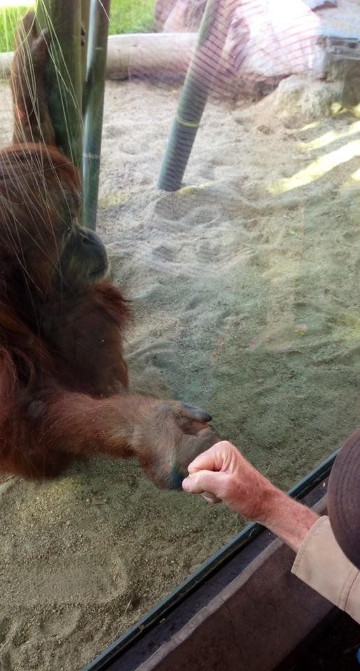 30 People Who Found New Friends At The Zoo