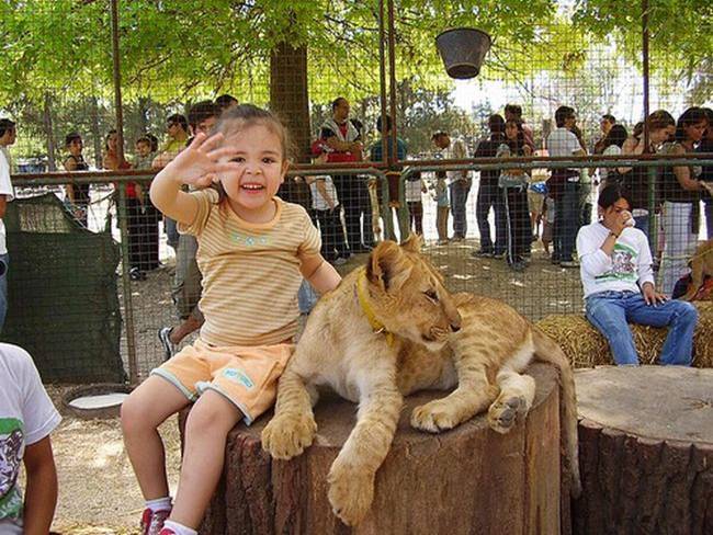 30 People Who Found New Friends At The Zoo