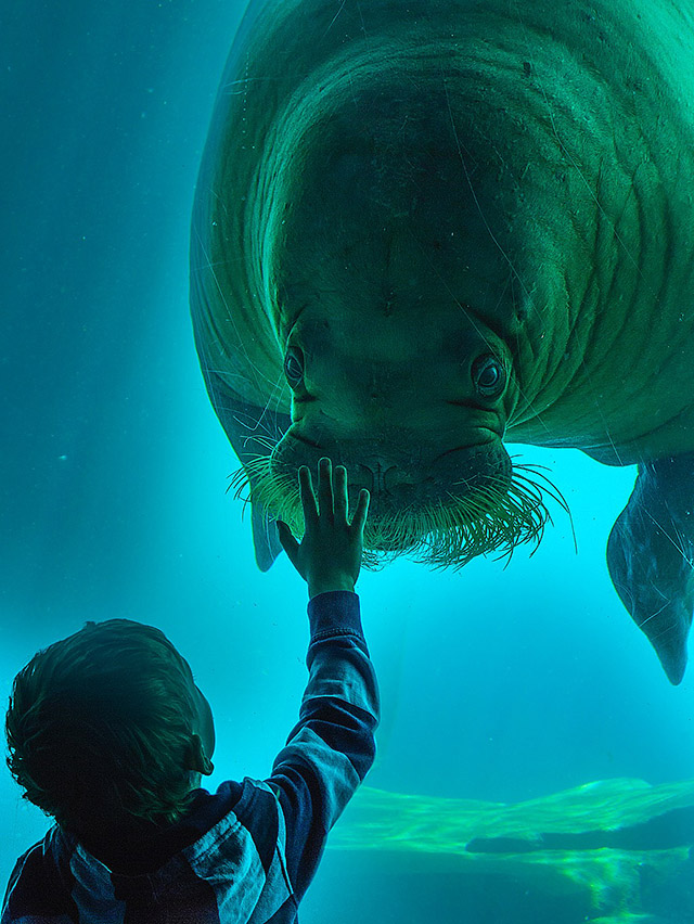 30 People Who Found New Friends At The Zoo