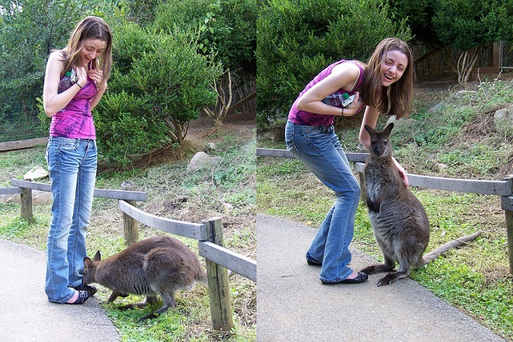 30 People Who Found New Friends At The Zoo