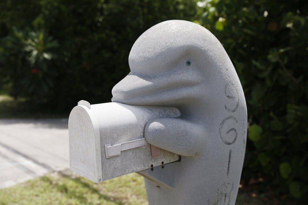 Unusual Mailboxes Found Around Florida