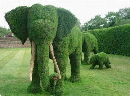 Unique Animal Sculptures