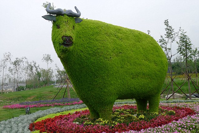 Unique Animal Sculptures