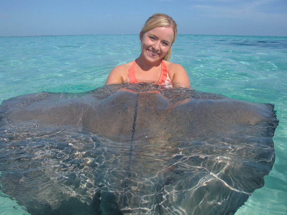 Stingray City is a series of shallow sandbars found in the North Sound of Grand Cayman, Cayman Islands.