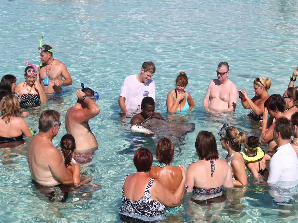 It is a tourist attraction, where southern stingrays are found in abundance and visitors can pet and interact with the animals.