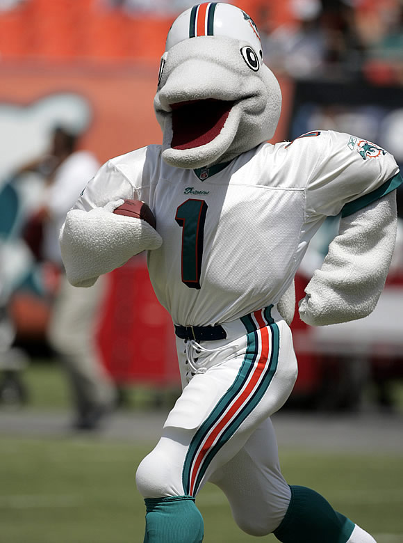 Miami Dolphins T.D.