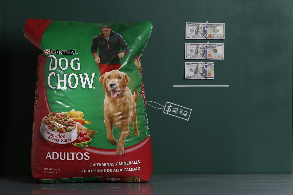 A 50 lb. 22.7 kg bag of Purina Dog Chow