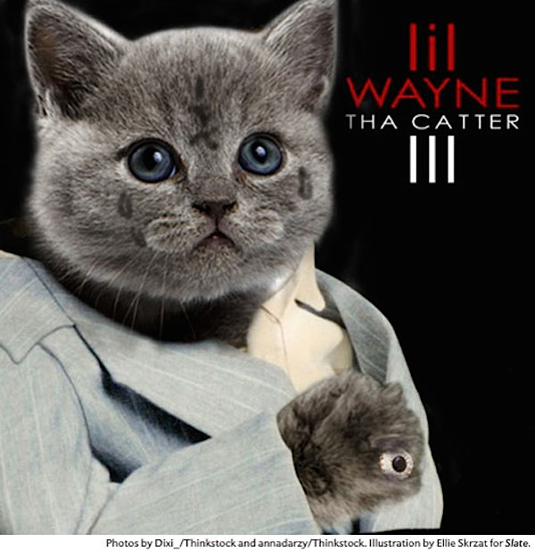 Hip-Hop Album Covers All-Cat Remixed