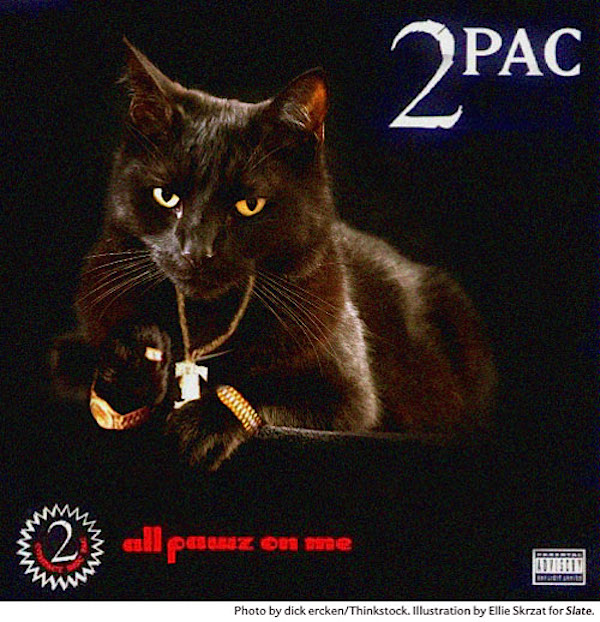 Hip-Hop Album Covers All-Cat Remixed