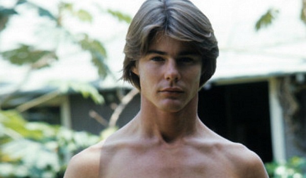 Jan-Michael Vincent, went from television star...