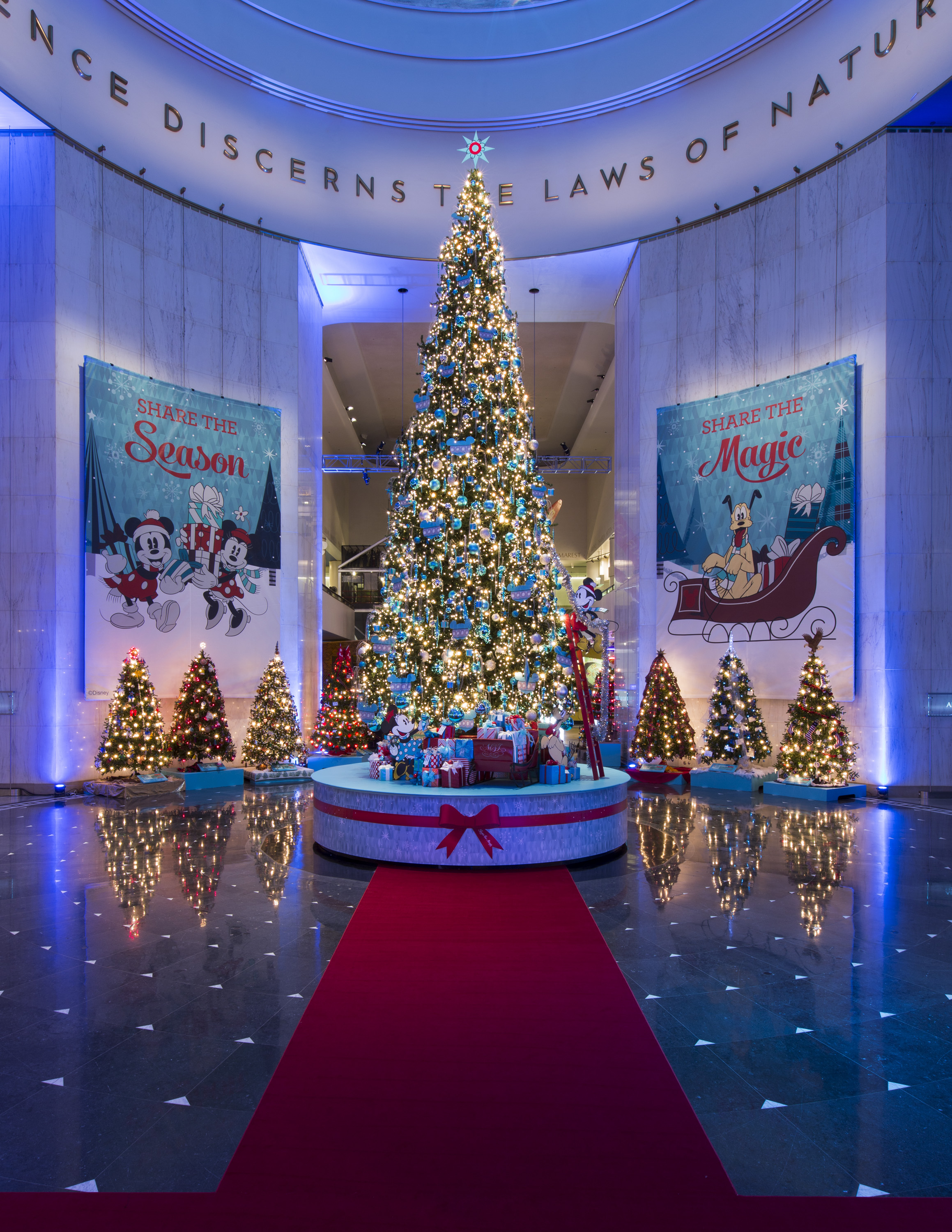 Remarkable Christmas Trees From Around The World