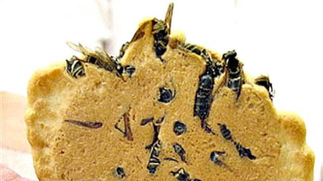Wasp Crackers, Served in Japan, they're exclusively found 100 miles outside of Tokyo in a town called Omachi