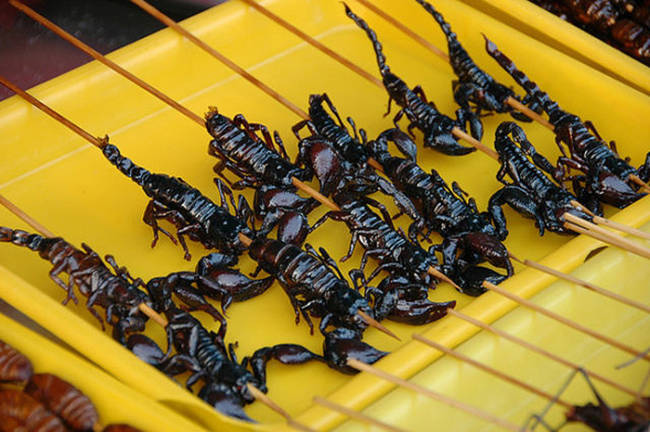 Scorpions, Served in Thailand and China, frying them is said to neutralize the venom in their tails and apparently has a buttery popcorn taste