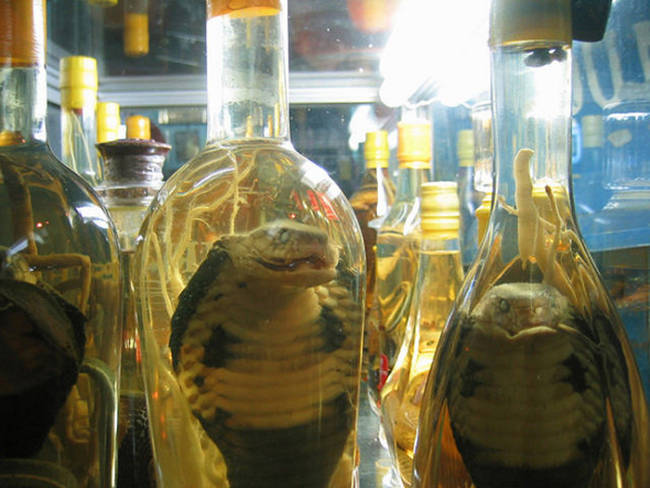 Snake Wine, Served in China and Vietnam, the snake's venom is neutralized by the ethanol in rice wine and it is believed to boost one's virility