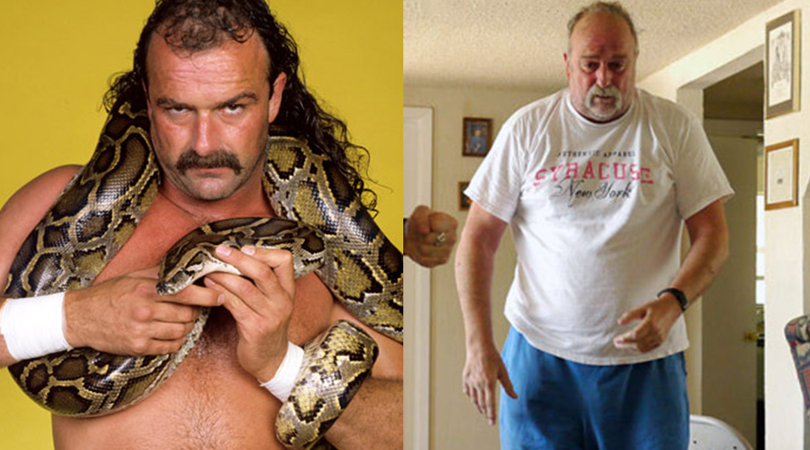 Jake "The Snake" Roberts: Years of alcohol and drug abuse.