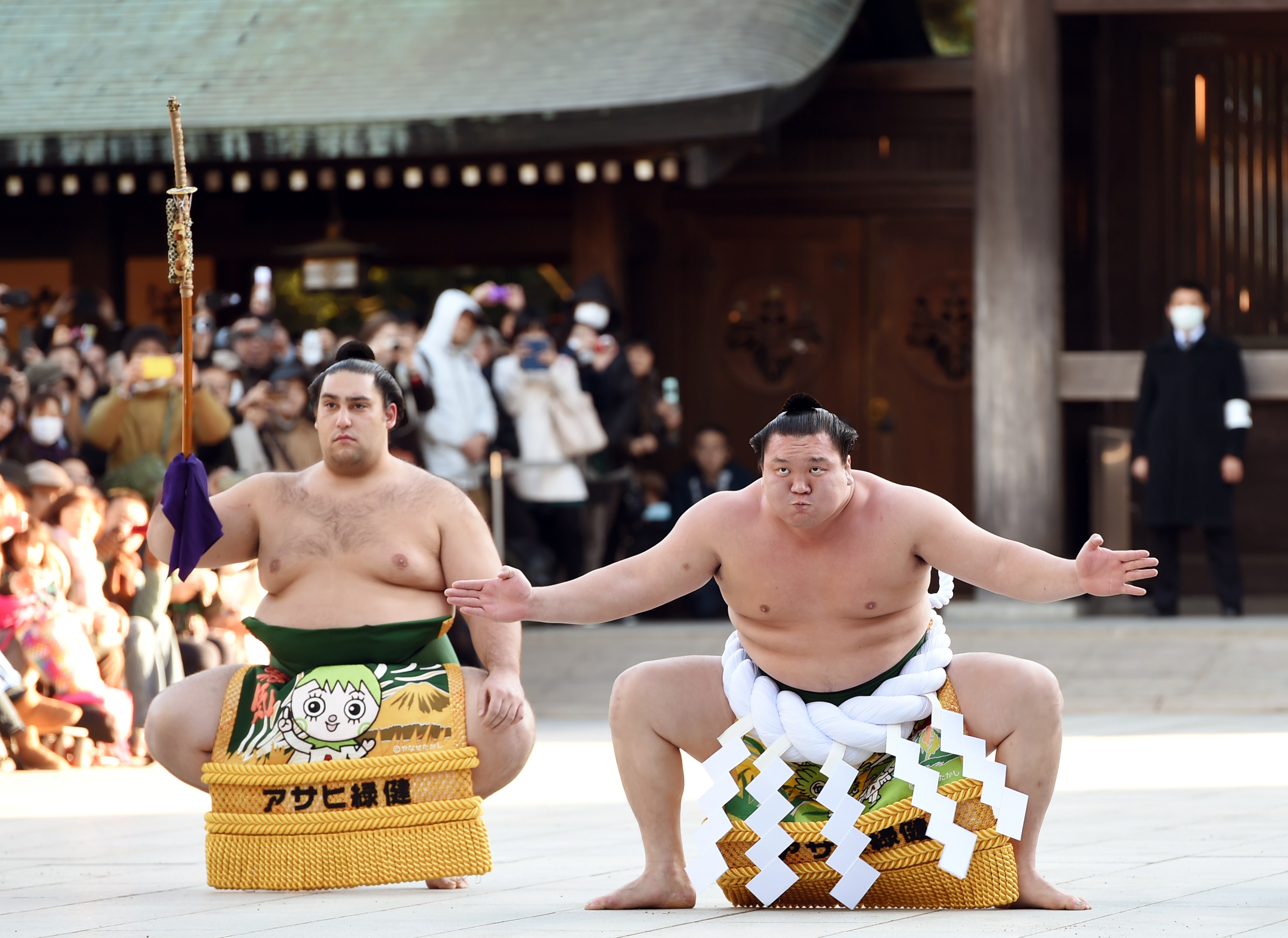 Что такое сумо. Сумо боевые искусства Японии. Ёкодзуна Хакухо (белый Феникс).