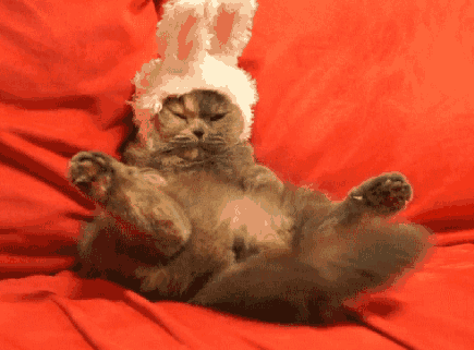 19 Animated GIFs for Your Easter Holiday