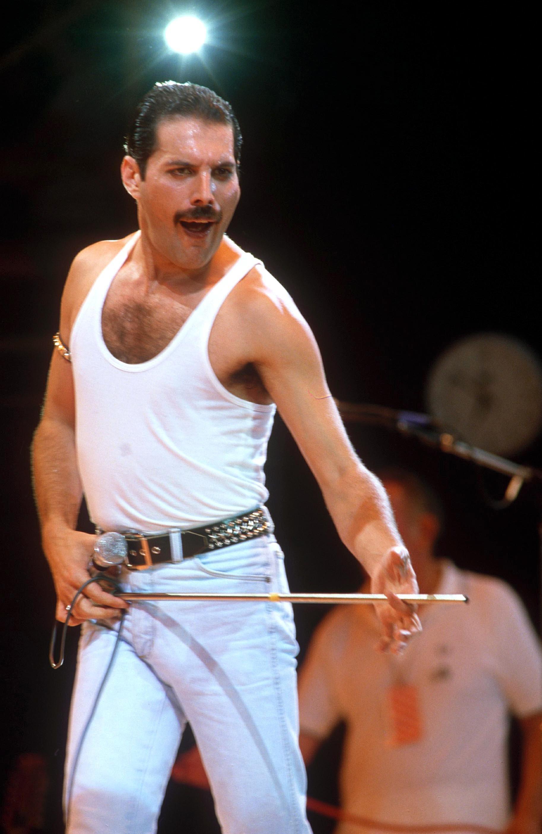 Freddie Mercury was gay died from pneumonia resulting from AIDS