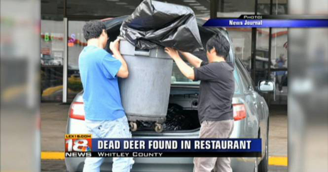 car - Potoi News Journal 12. Dead Deer Found In Restaurant News Whitley County