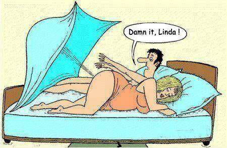 damn it linda cartoon - Damn it, Linda!