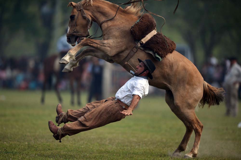 random pic man being thrown from horse