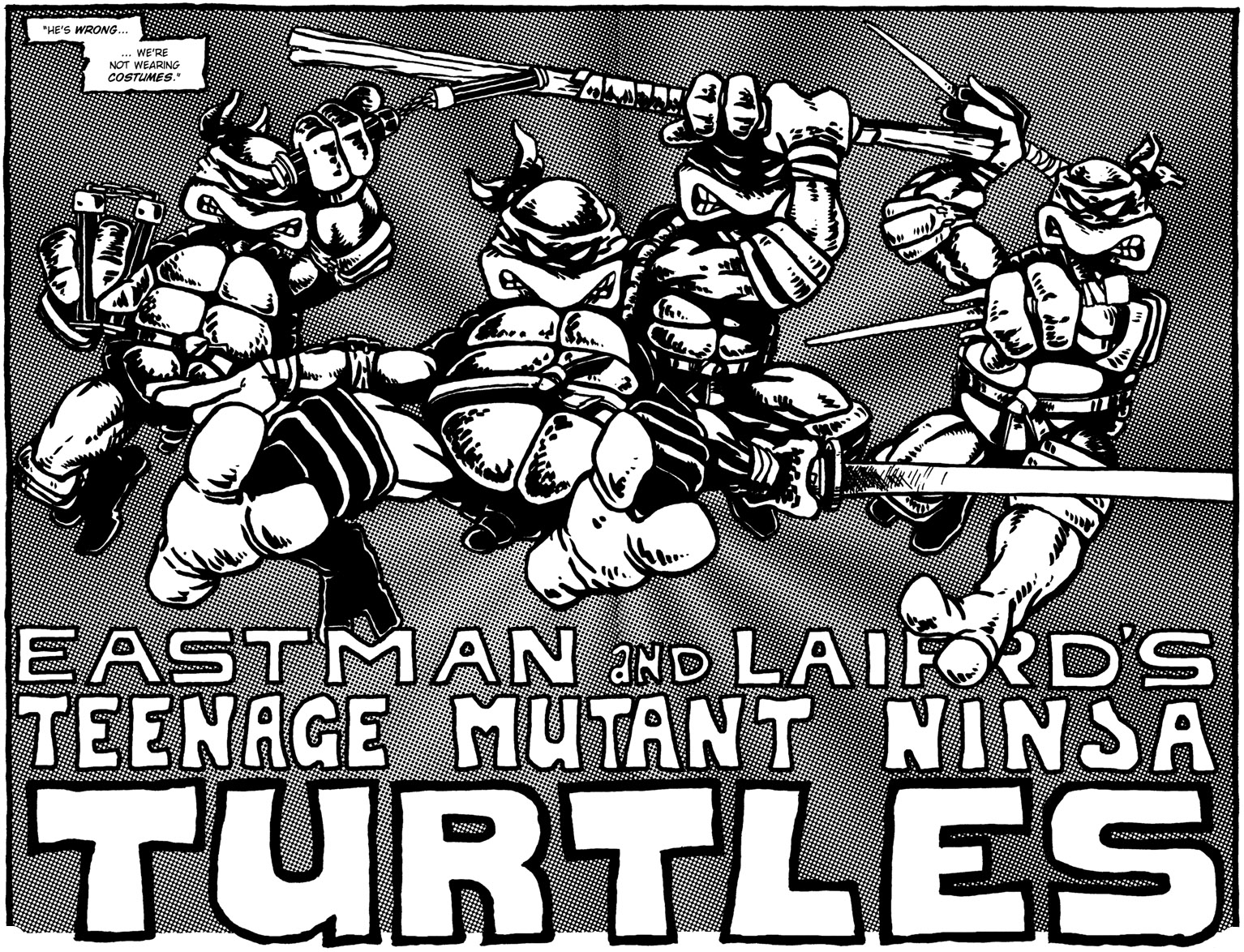 Teenage Mutant Ninja Turtles Published: 1984 Creator:  Kevin Eastman Peter Laird