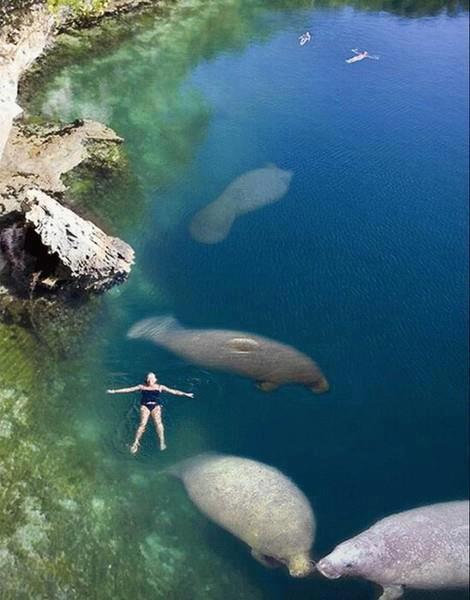 madison blue springs state park florida