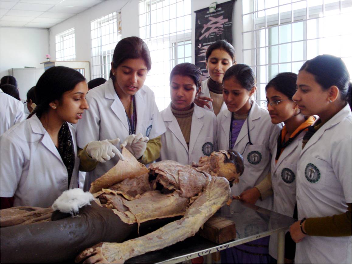 Cadaver School, learning how a dead body works?
