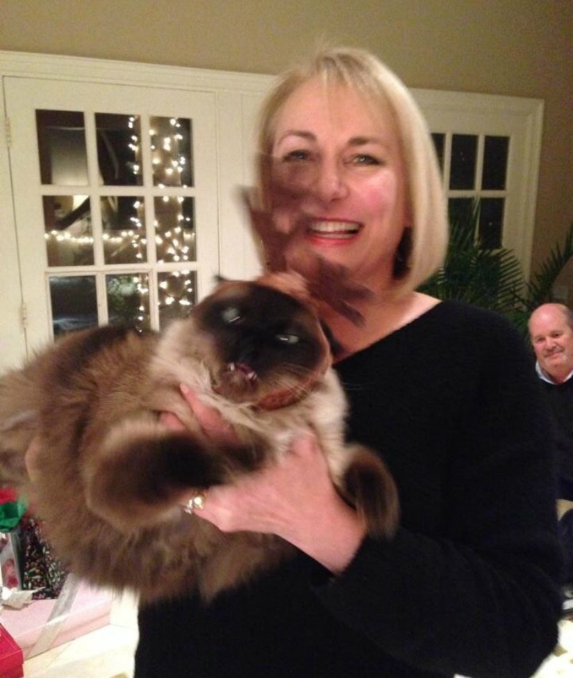 Terrible Truth About The Web