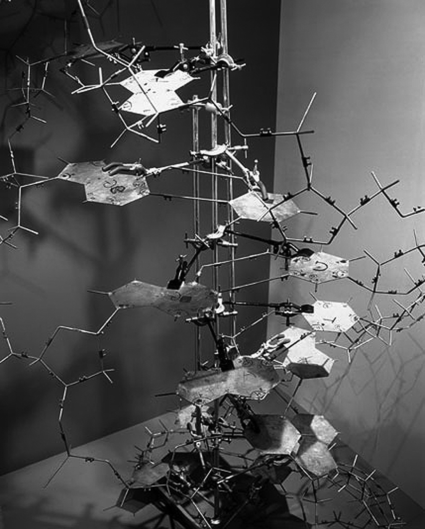 1953 Structure of DNA discovered