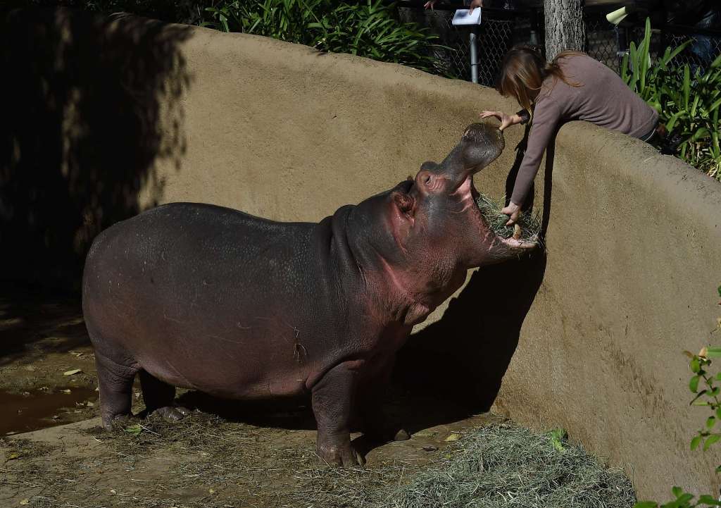 Terrible Truth About The Web