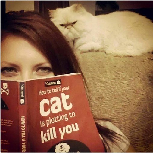 your cat plotting to kill you - jesto Oatmeal How to tell if your How To Tell If Your cat is plotting to kill you