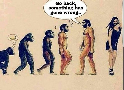 go back something has gone wrong - Go back, something has gone wrong.. Ps ? Ooo Fly