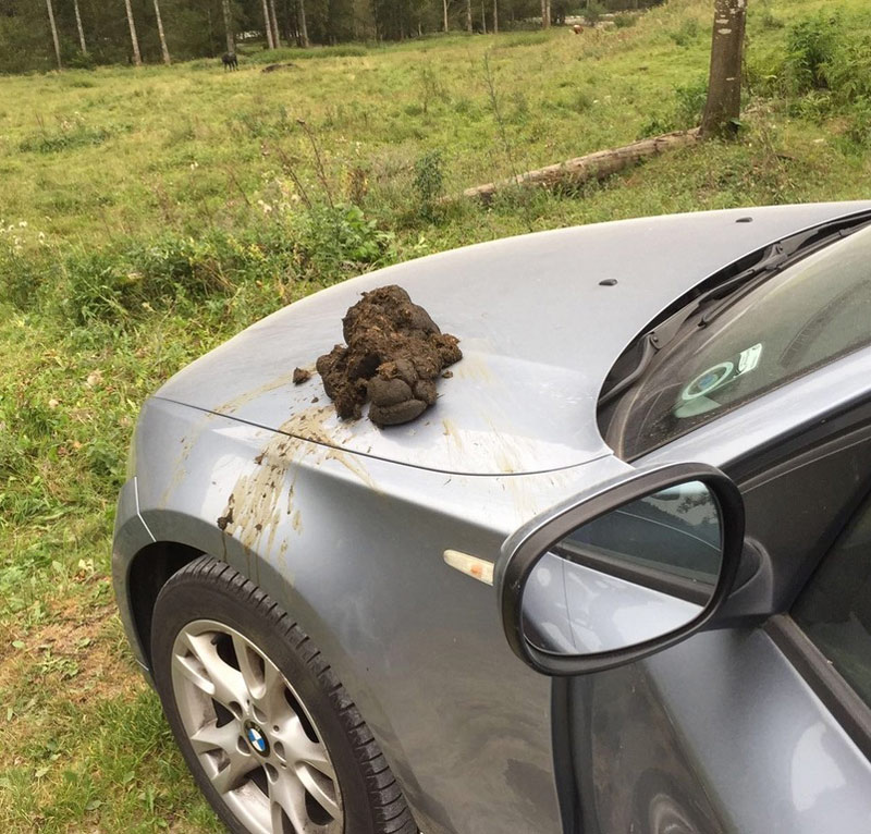 Terrible Truth About The Web