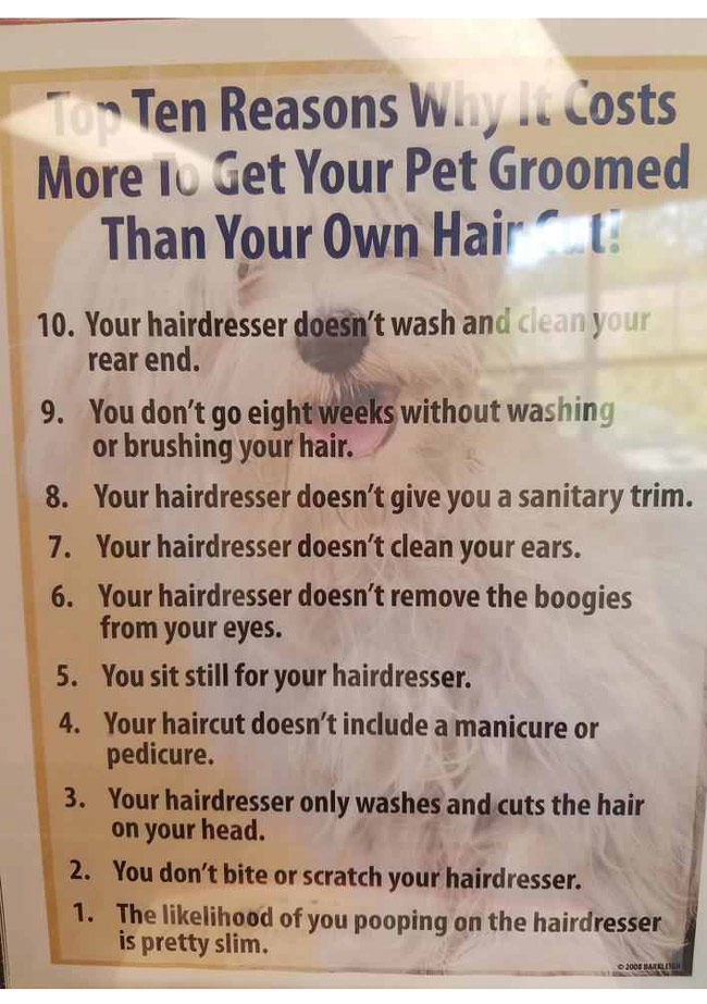 Terrible Truth About The Web