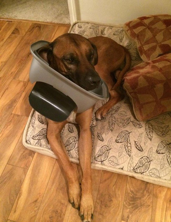 Terrible Truth About The Web