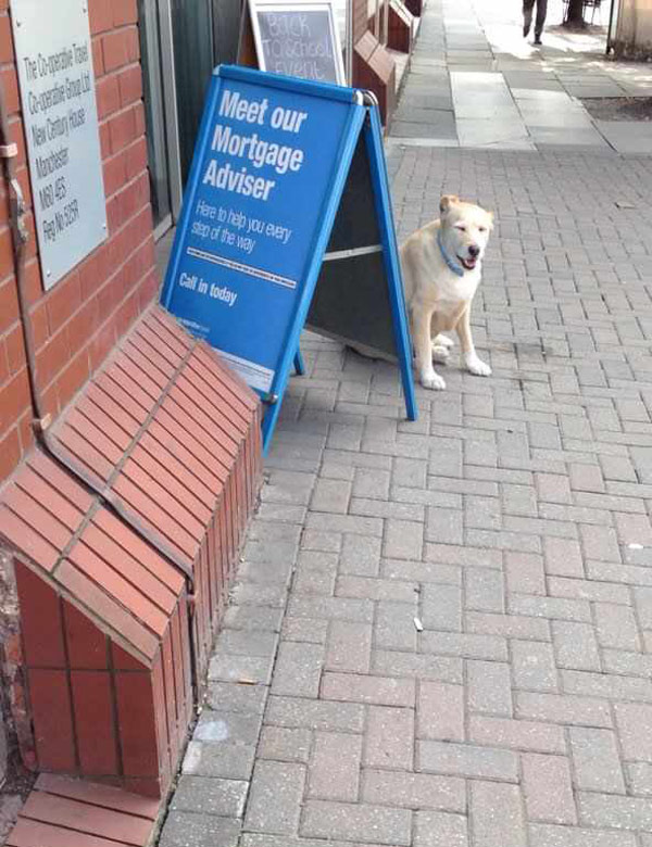 Terrible Truth About The Web